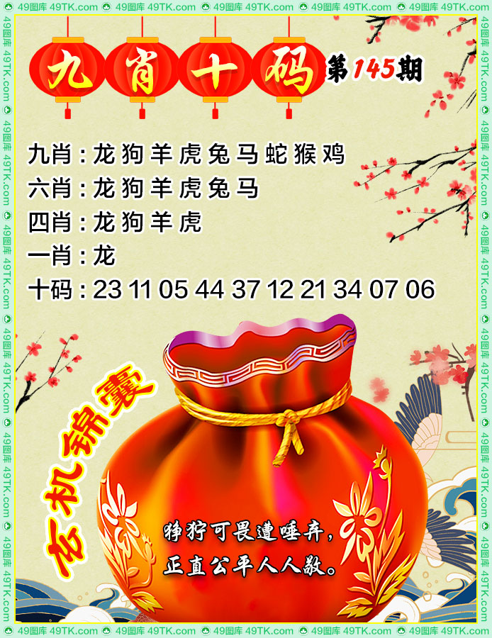 九肖十码