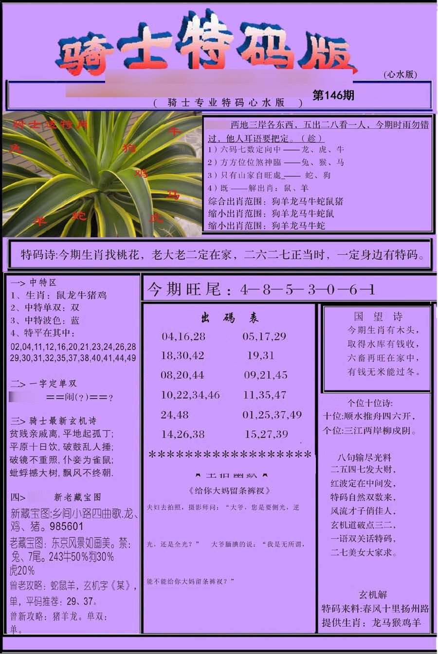 骑士特别