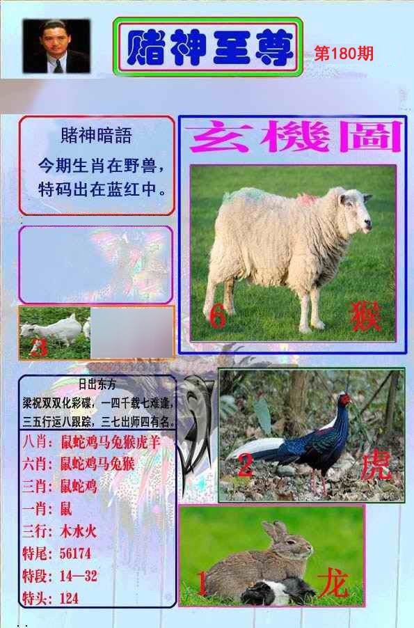 至尊报