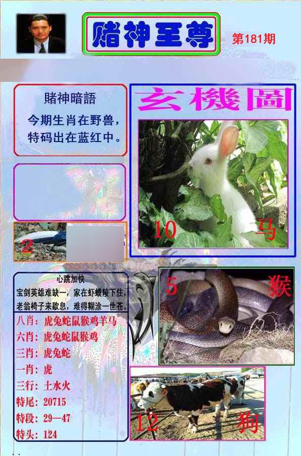 至尊报
