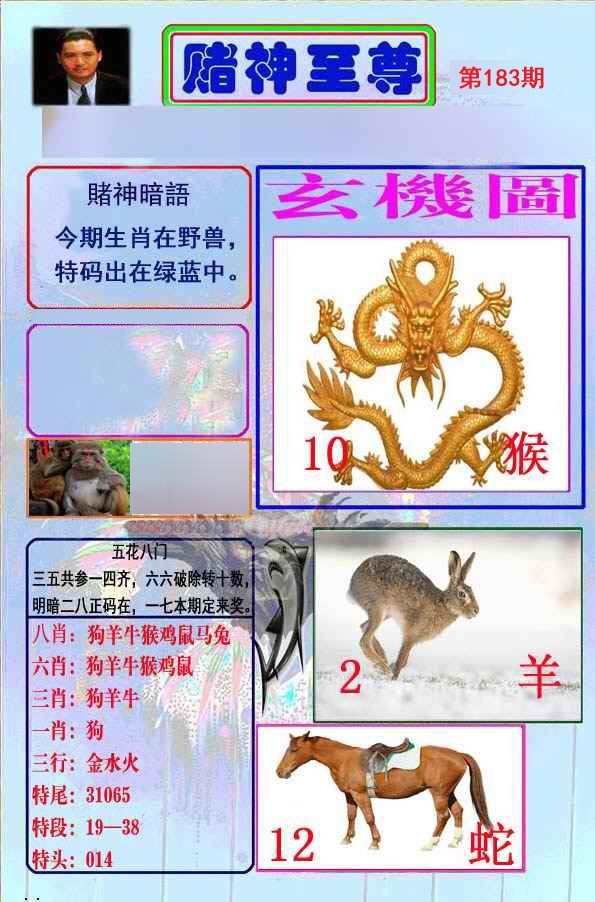 至尊报