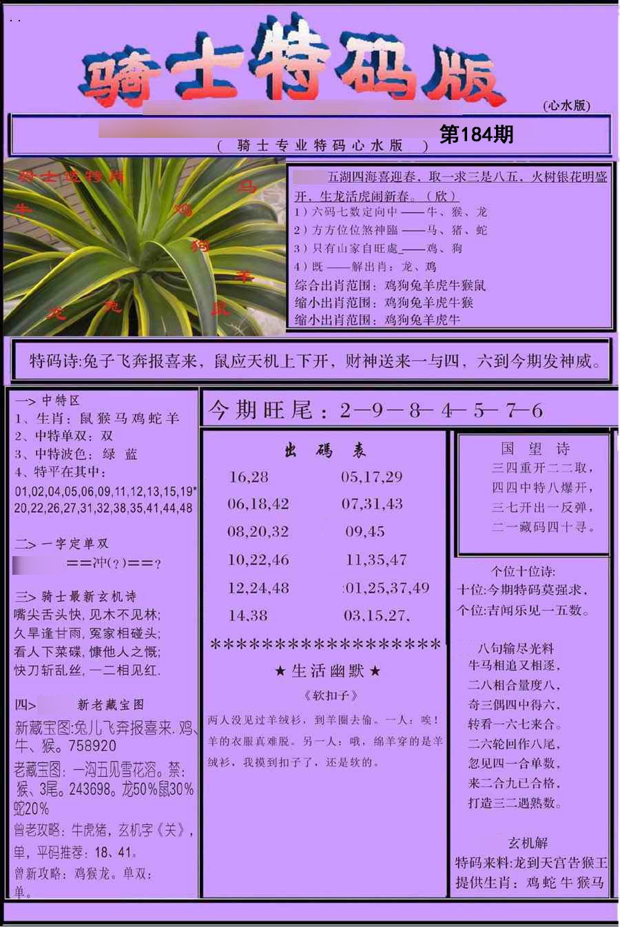骑士特别