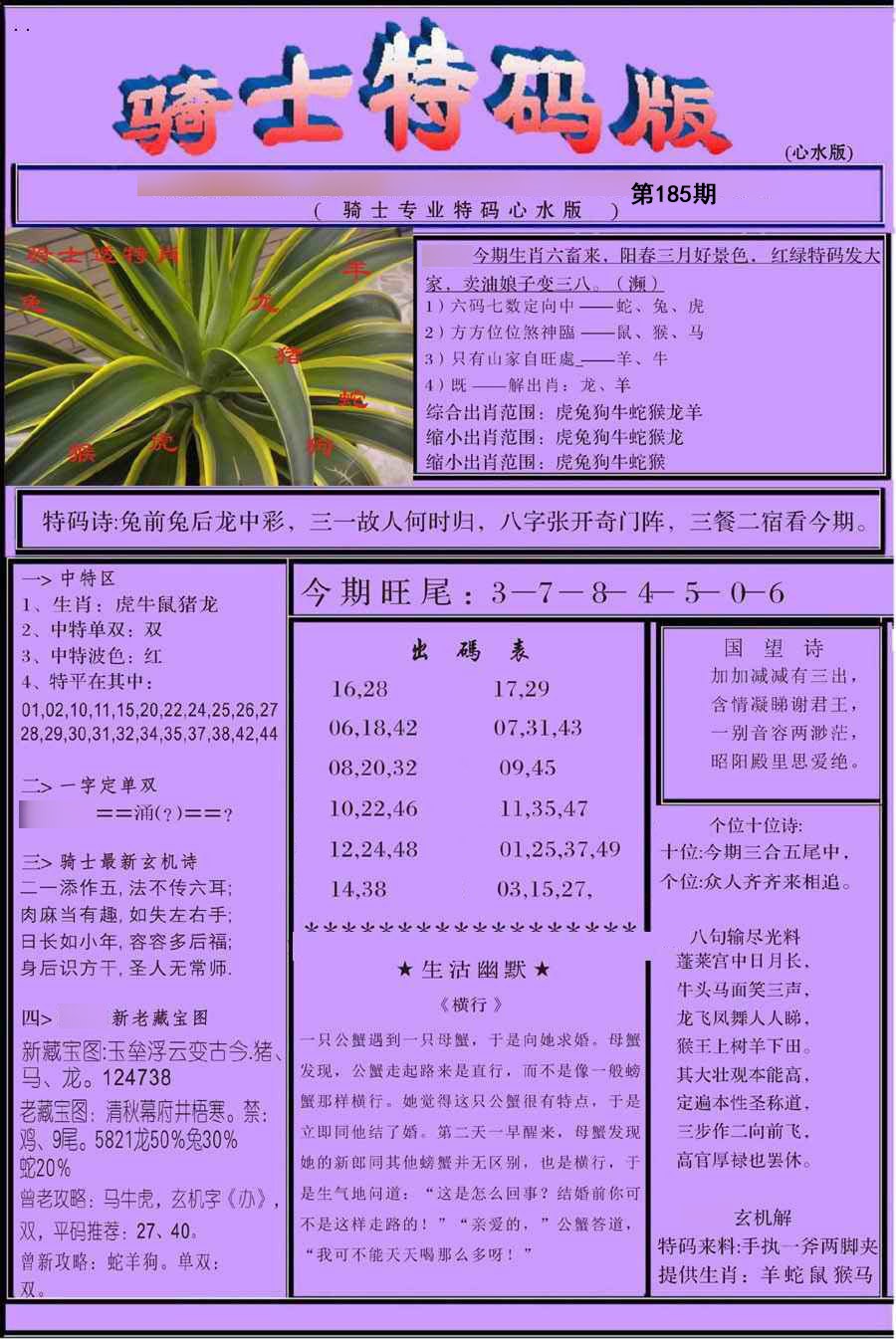 骑士特别