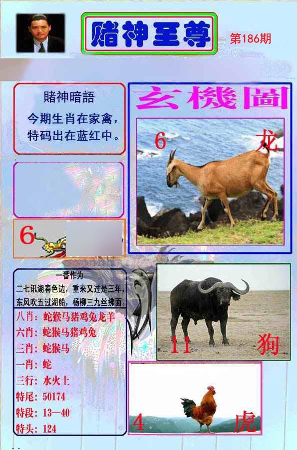 至尊报