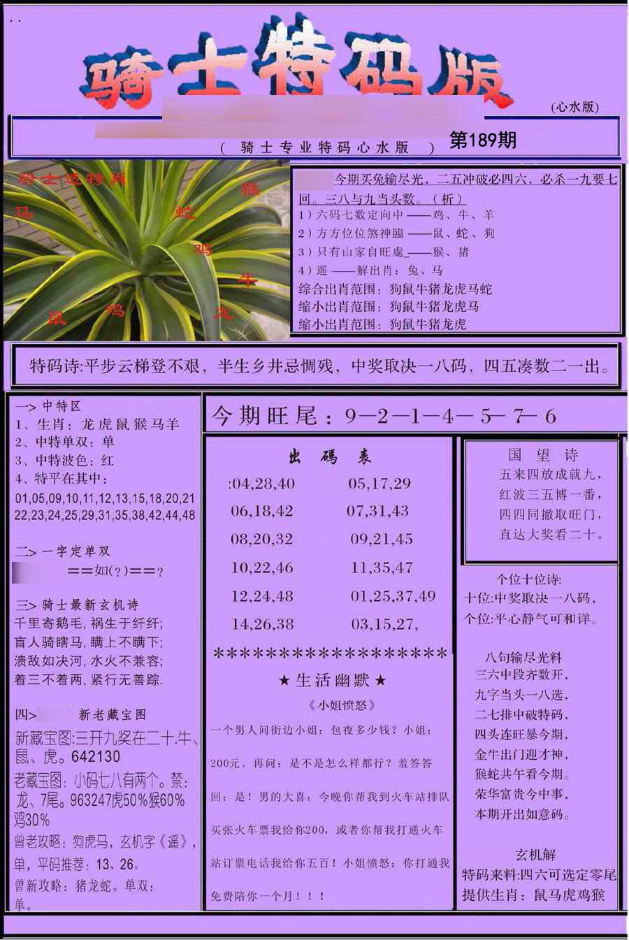 骑士特别