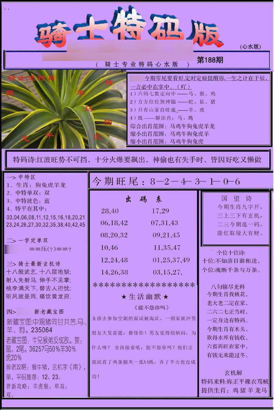 骑士特别