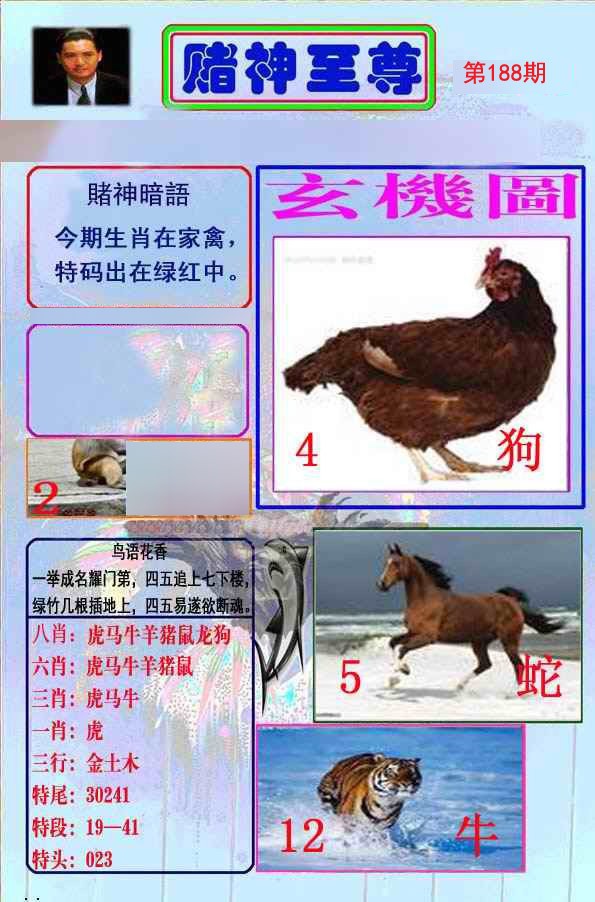 至尊报