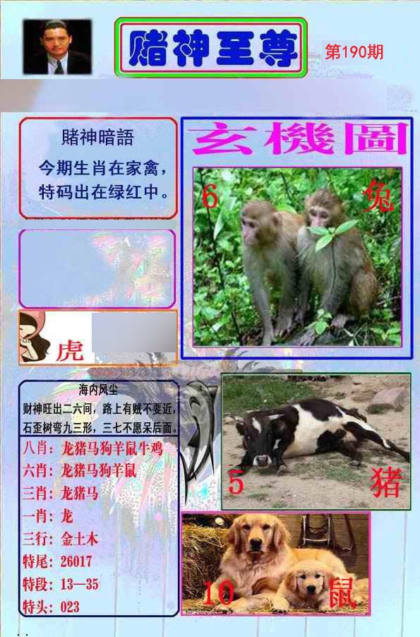 至尊报