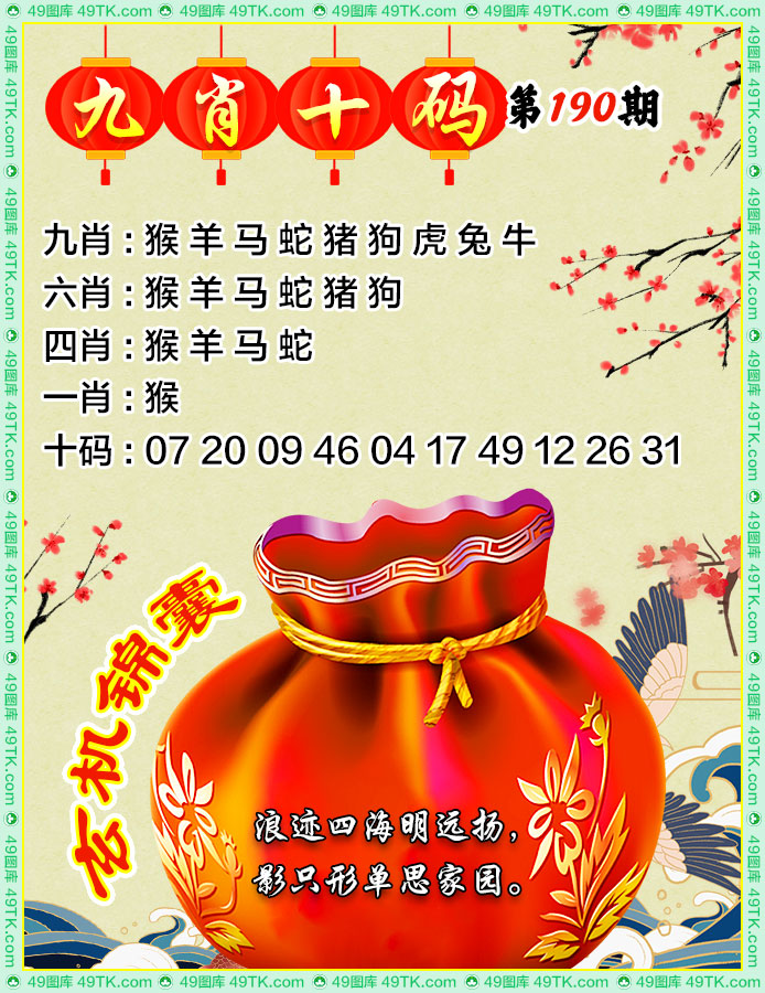 九肖十码