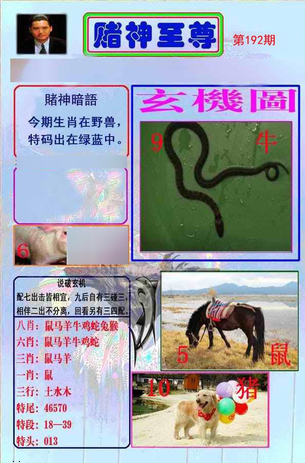 至尊报
