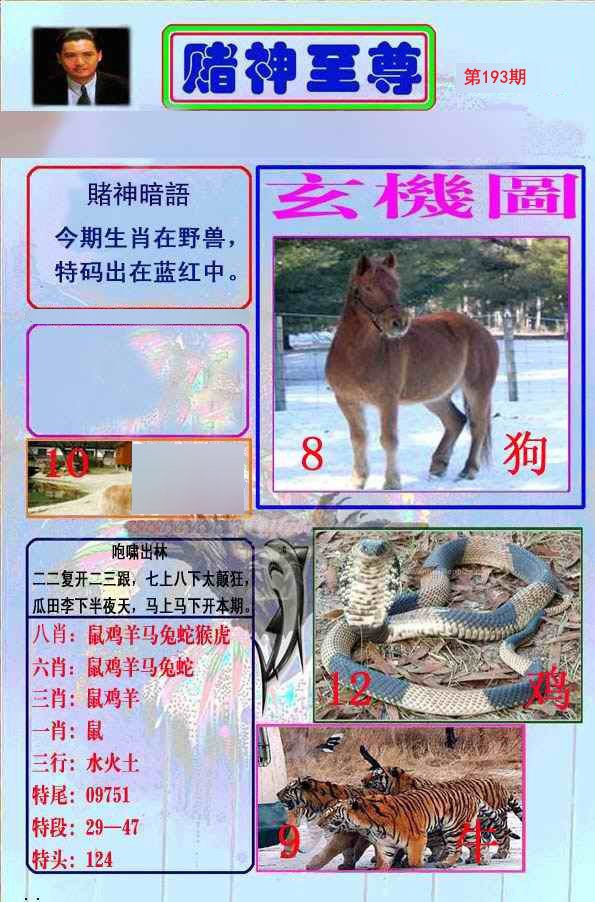至尊报