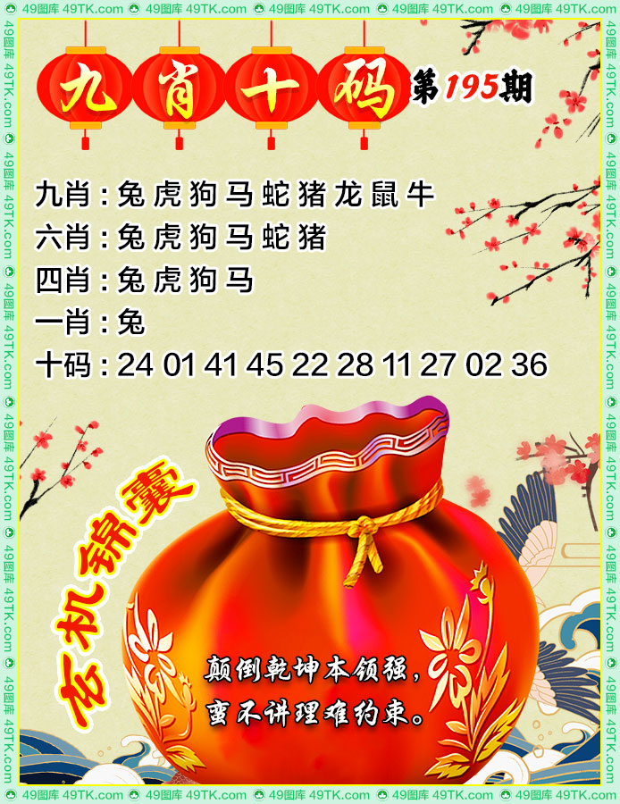 九肖十码