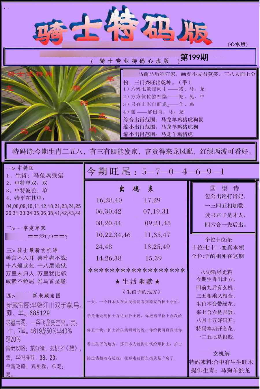 骑士特别