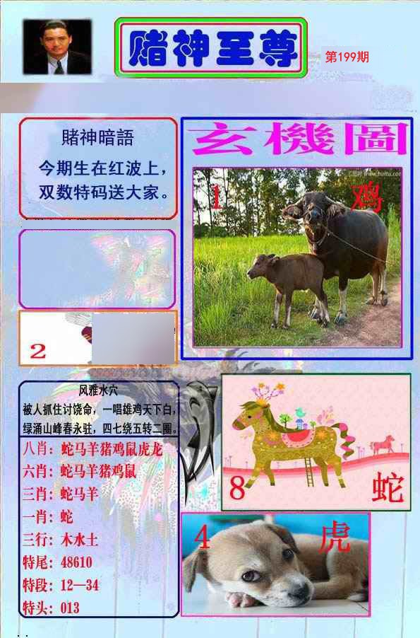 至尊报