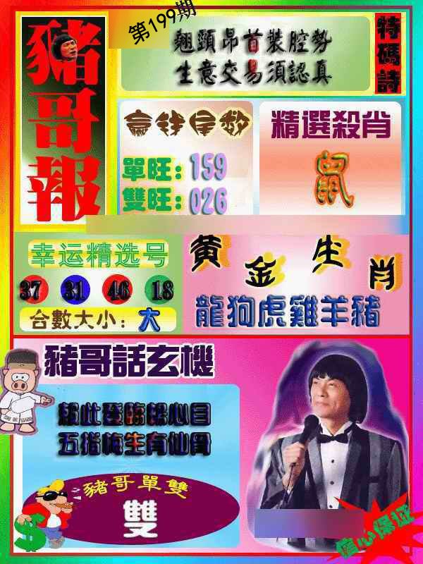 猪哥报