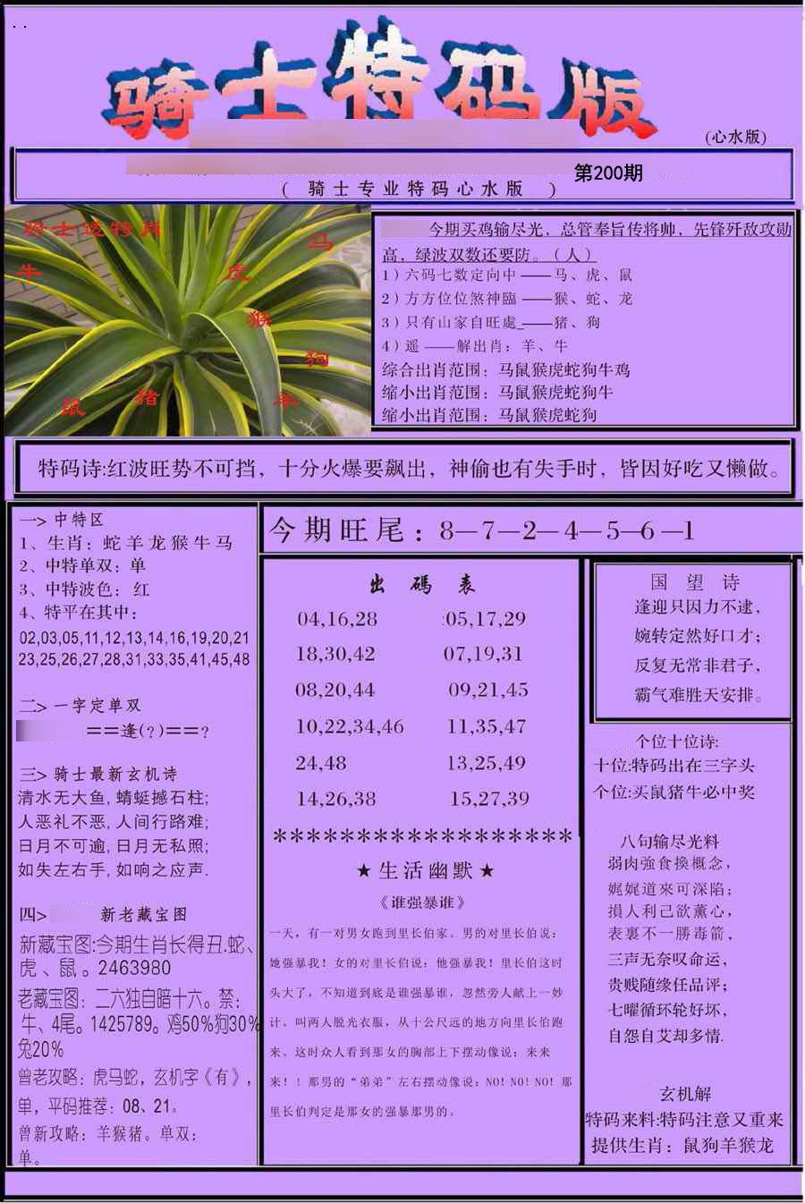 骑士特别