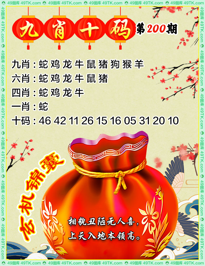 九肖十码