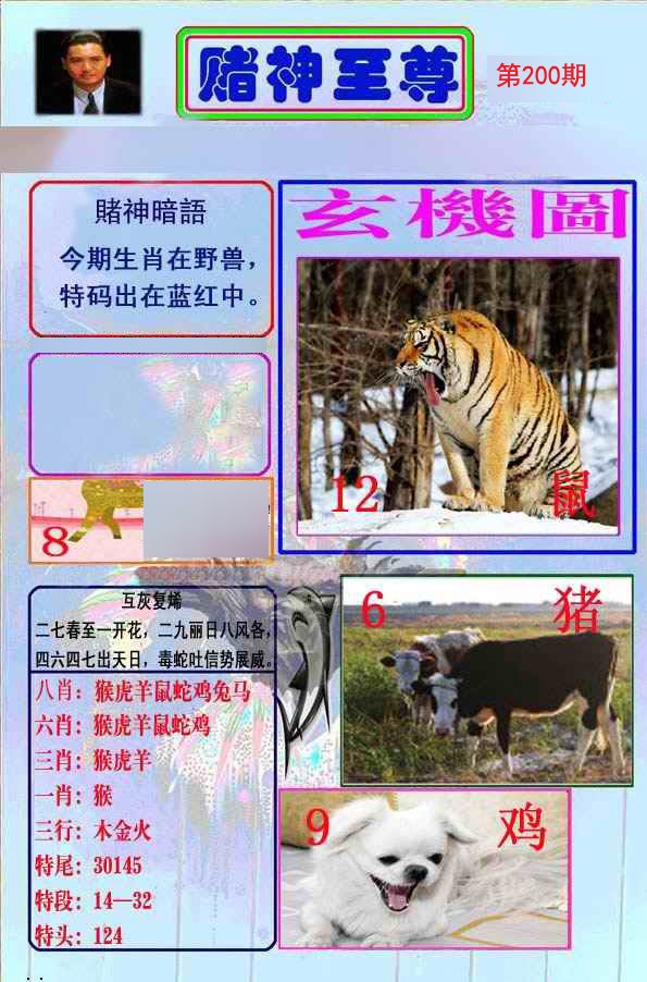 至尊报
