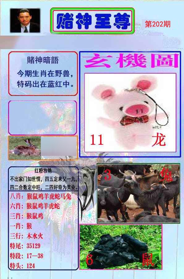 至尊报