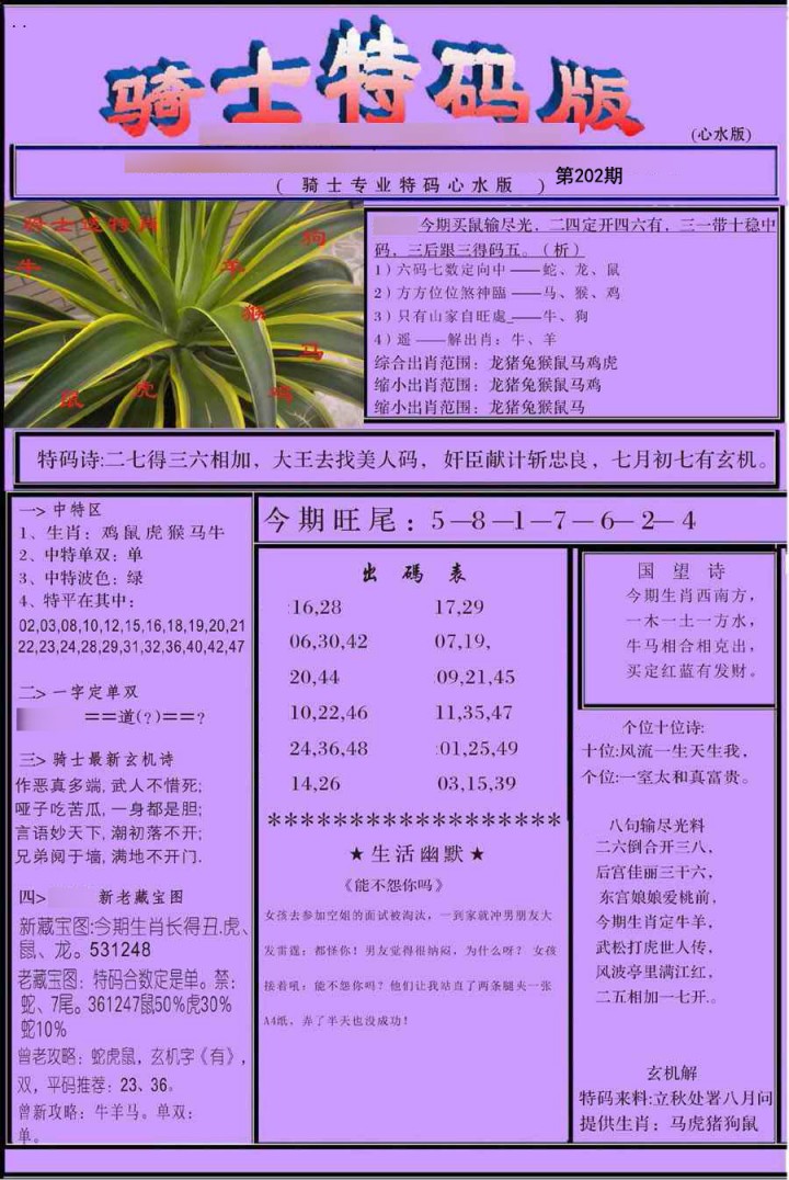 骑士特别