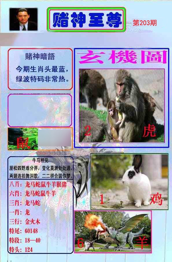 至尊报