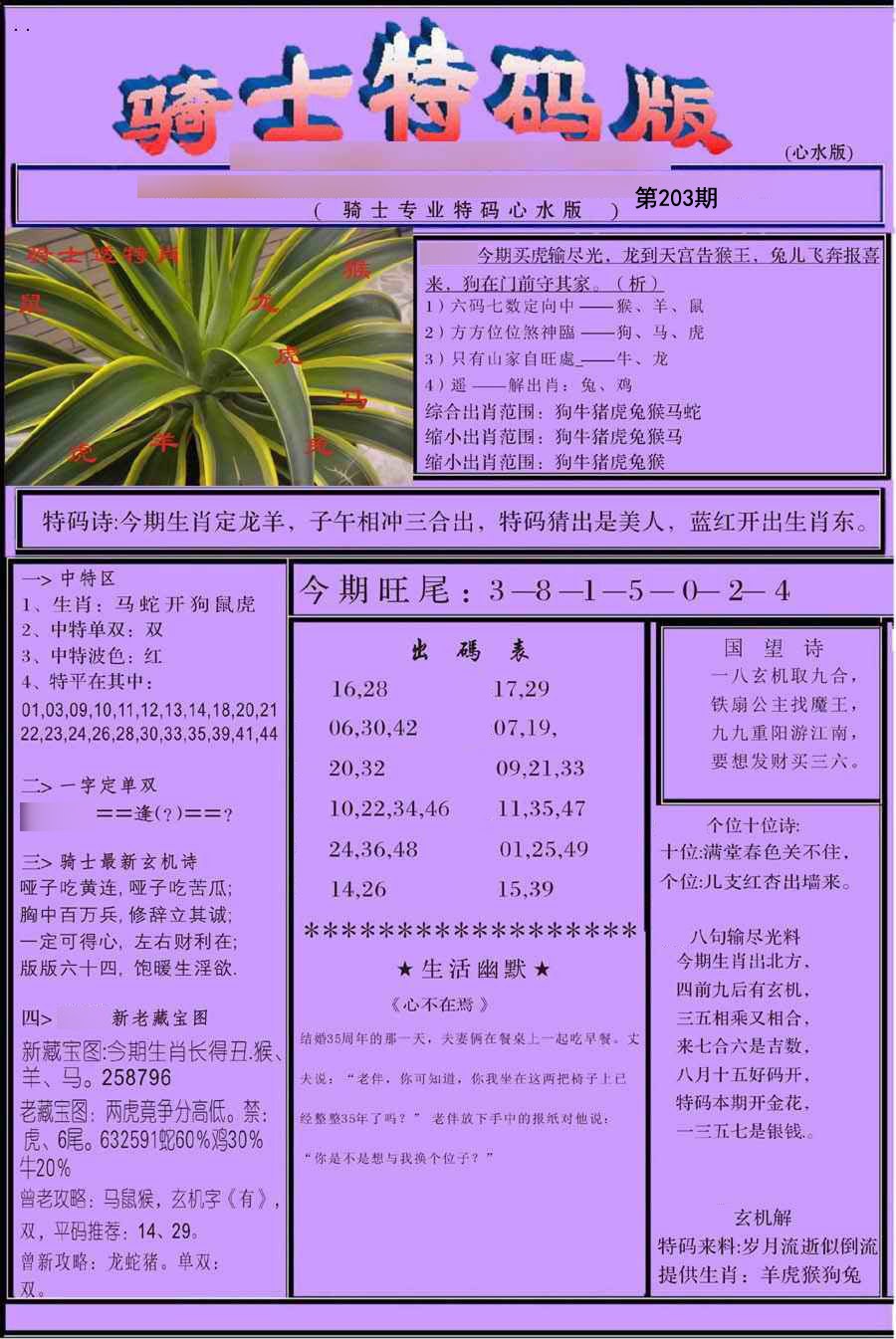 骑士特别