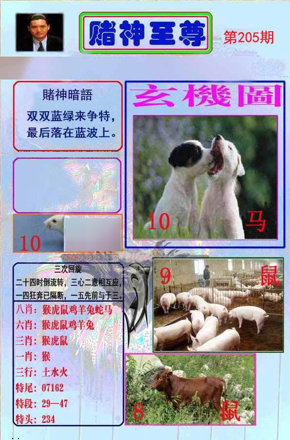 至尊报
