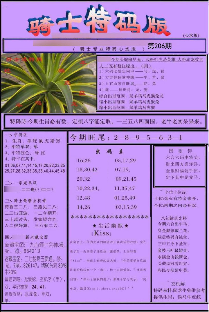 骑士特别