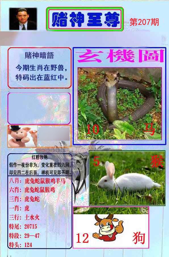 至尊报