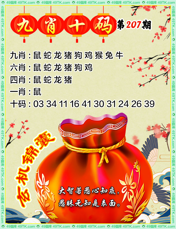 九肖十码