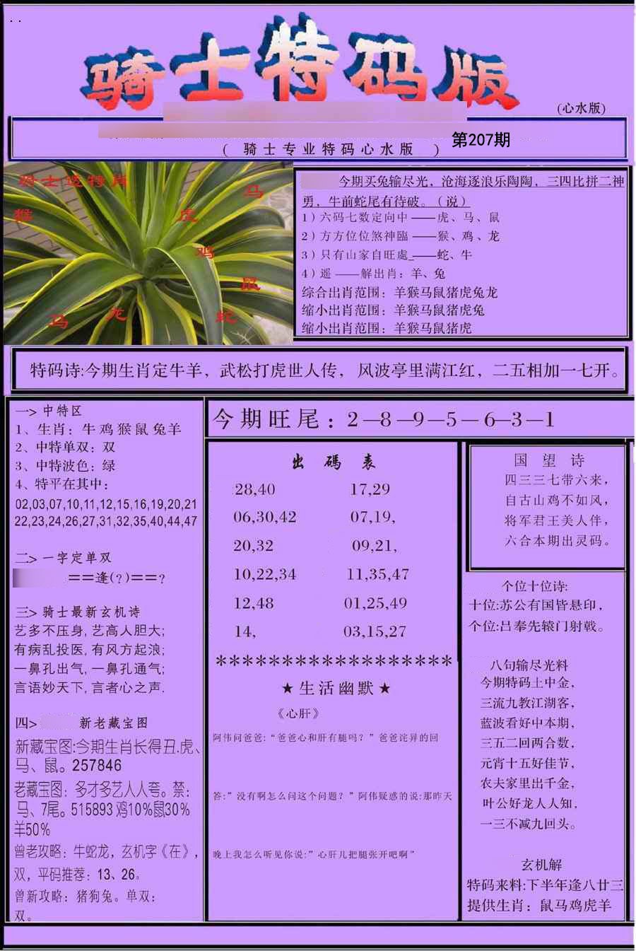 骑士特别