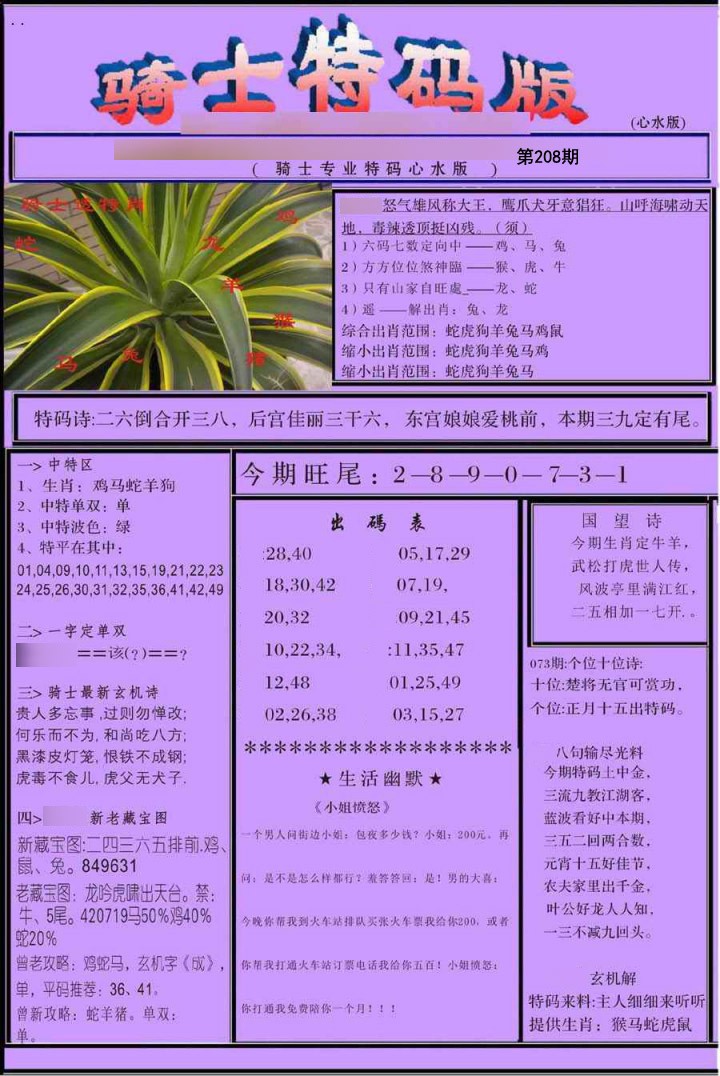 骑士特别