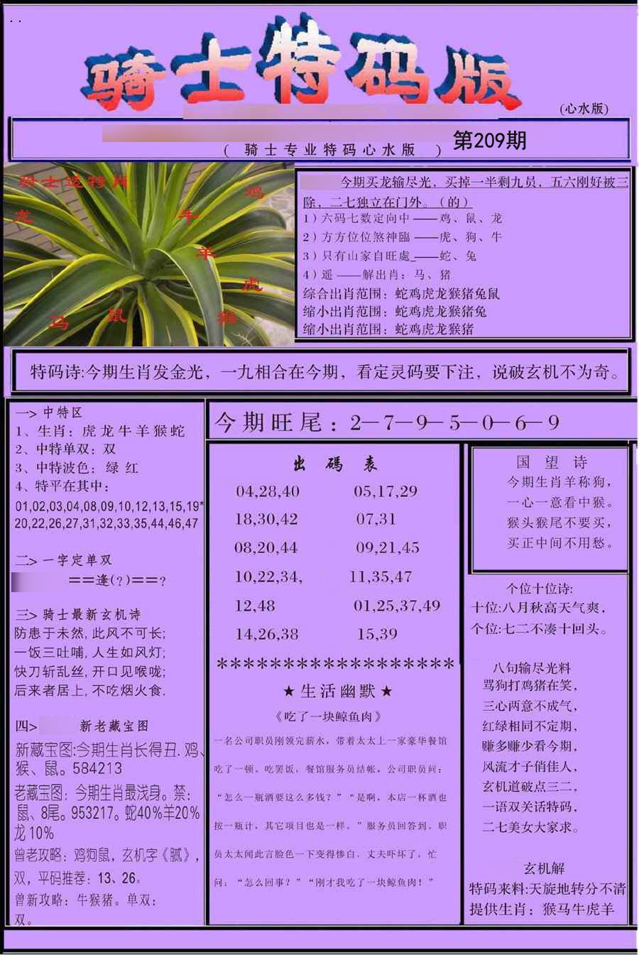 骑士特别