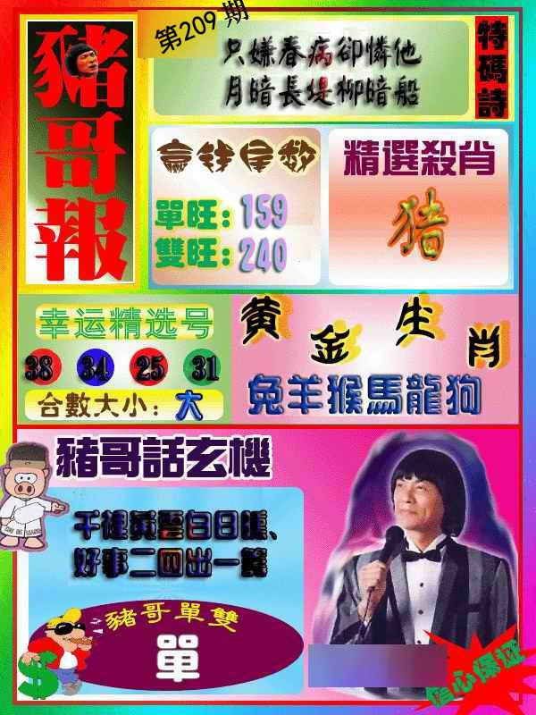 猪哥报