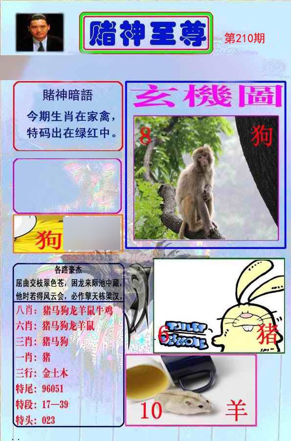 至尊报