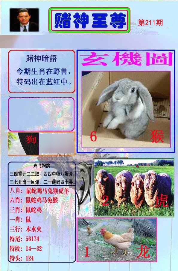 至尊报
