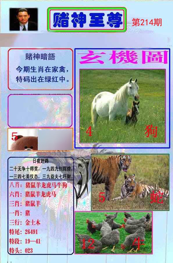 至尊报