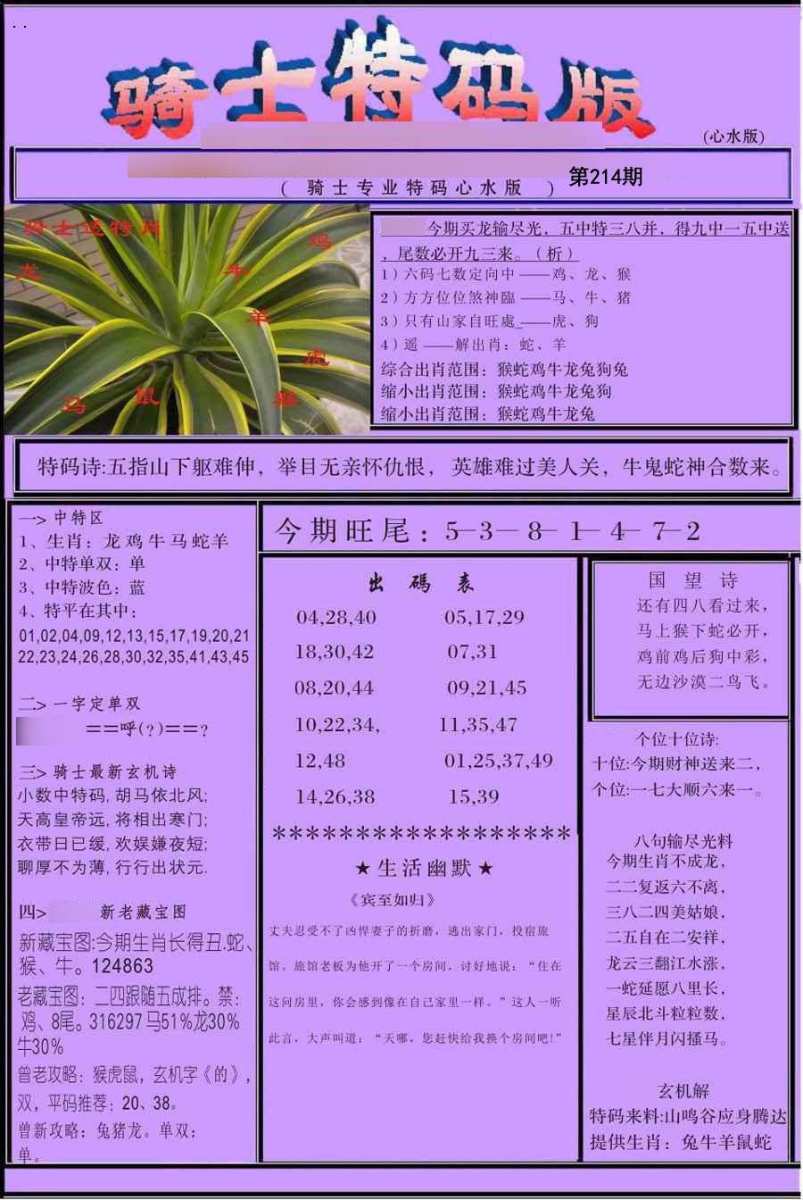 骑士特别