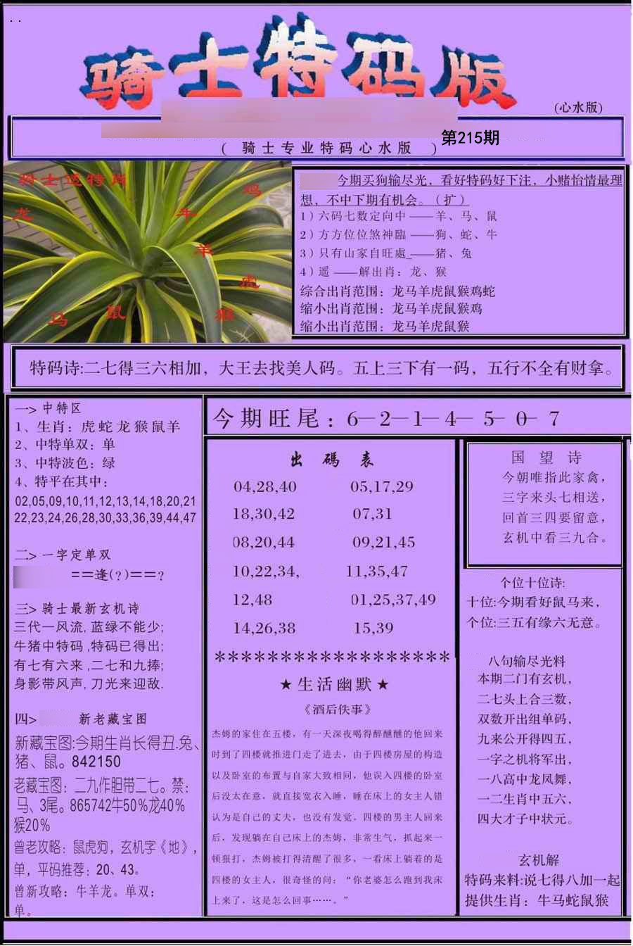 骑士特别