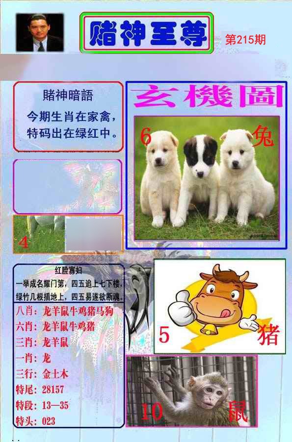 至尊报