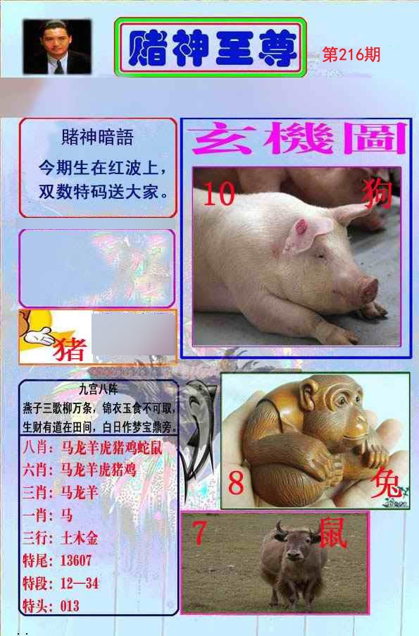 至尊报