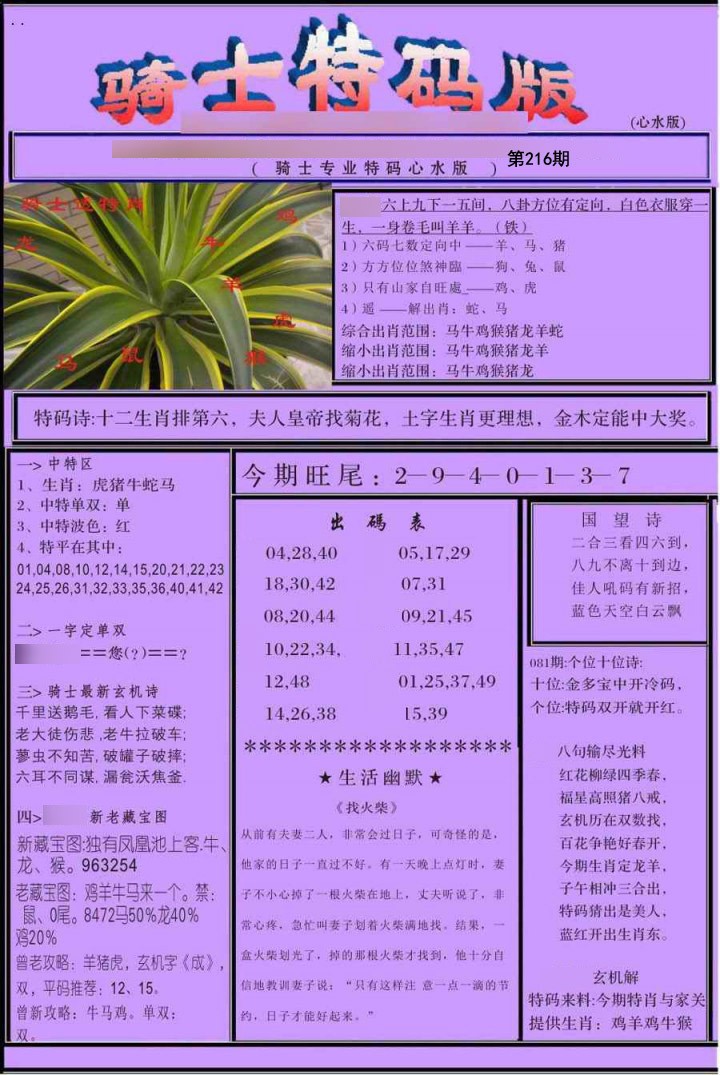 骑士特别