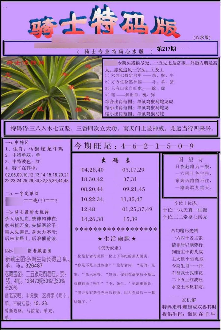 骑士特别
