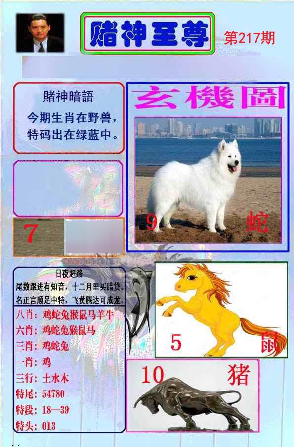 至尊报