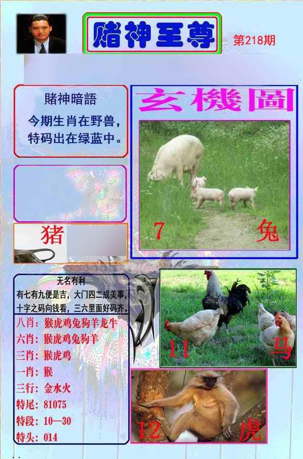 至尊报