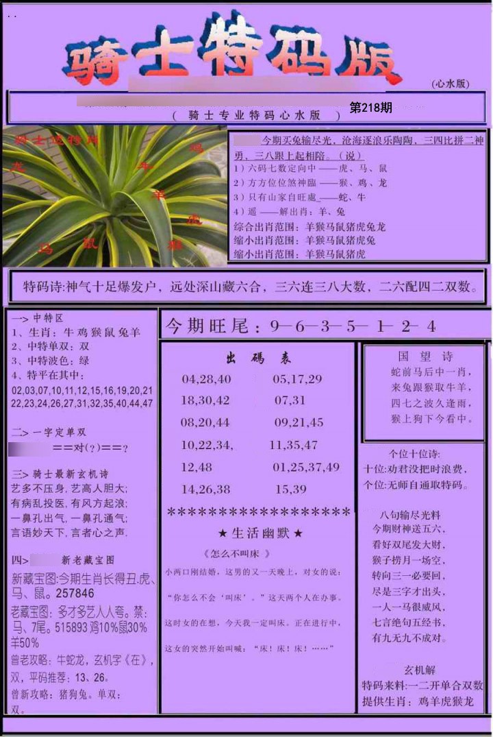 骑士特别