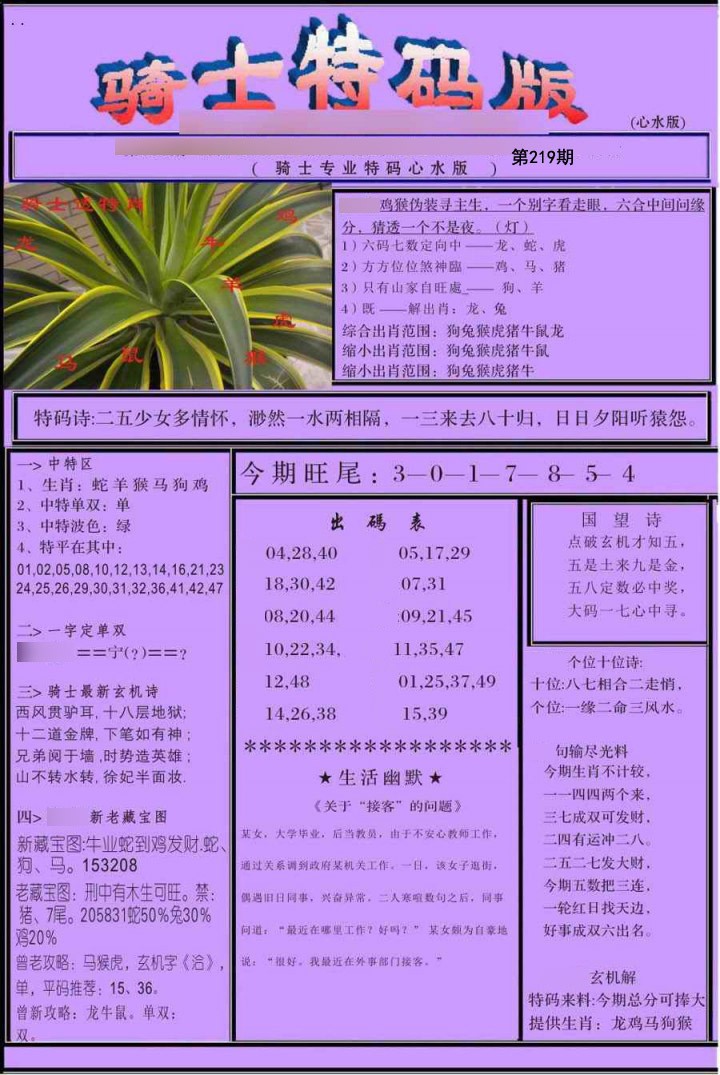 骑士特别