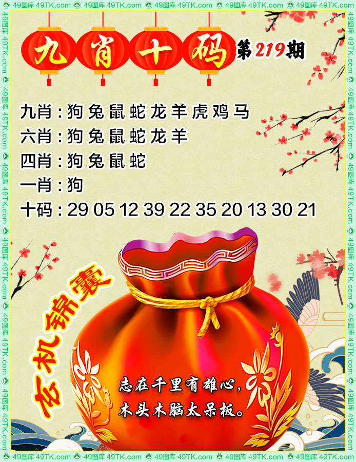 九肖十码