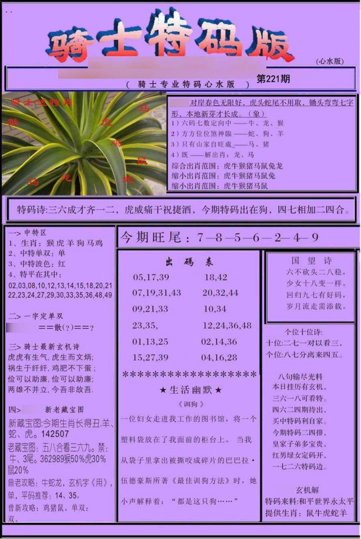 骑士特别