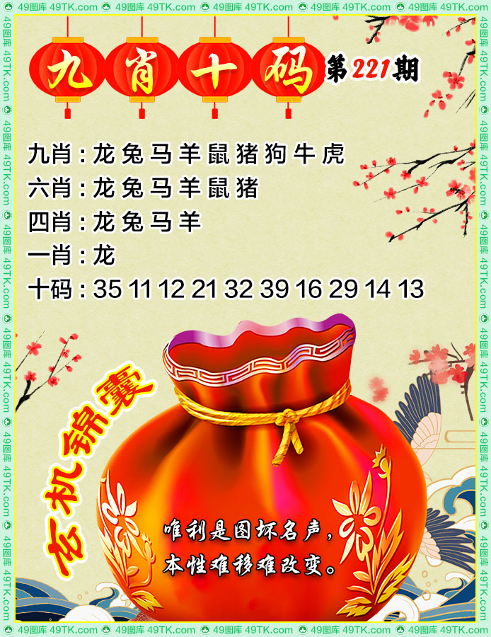 九肖十码